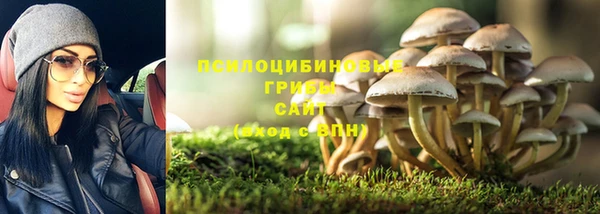 гашик Алексеевка