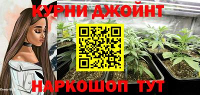 крисы Татарск