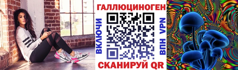 где купить наркотик  Тайшет  Галлюциногенные грибы GOLDEN TEACHER 