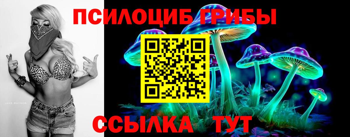 Псилоцибиновые грибы мицелий Тайшет