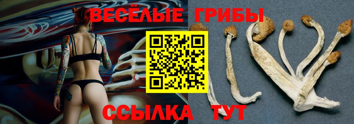 Псилоцибиновые грибы мицелий  Псилоцибиновые грибы мухоморы  Вход с VPN  Тайшет 